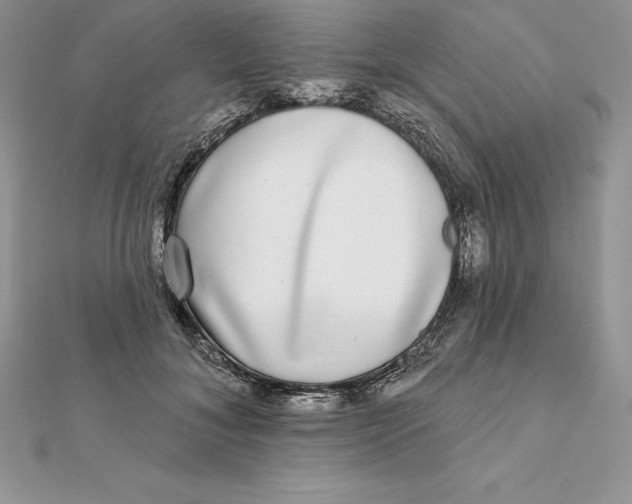 X0000112360700200909031910