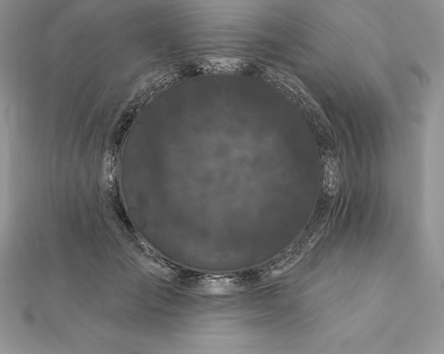 X0000112360701200909031910