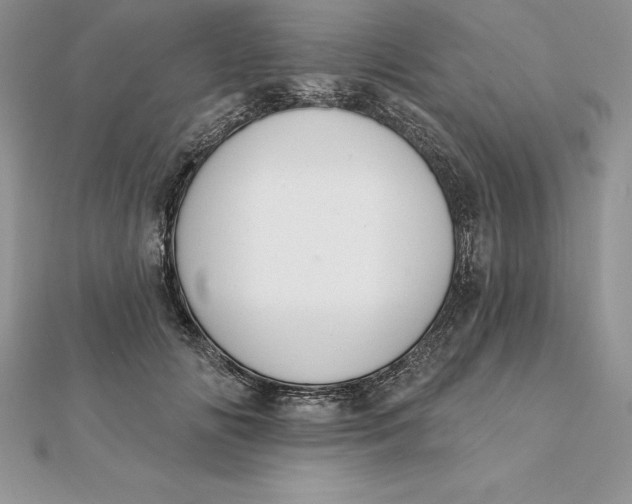 X0000112360702200909031910