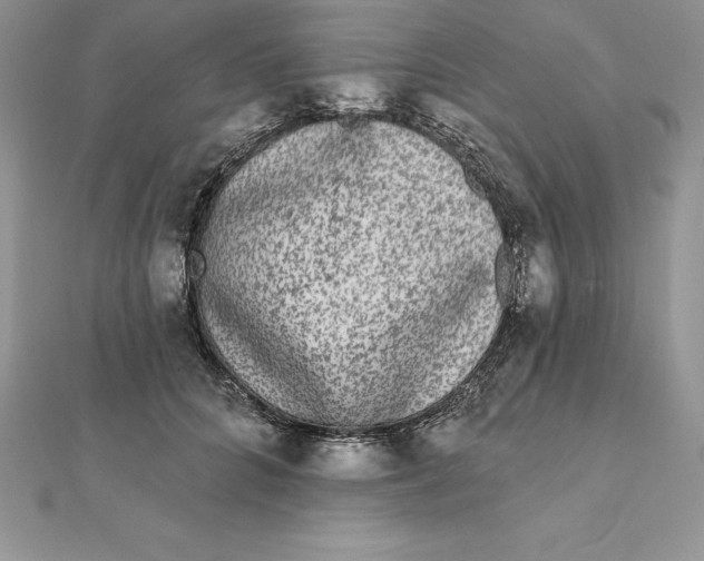 X0000112360704200909031910