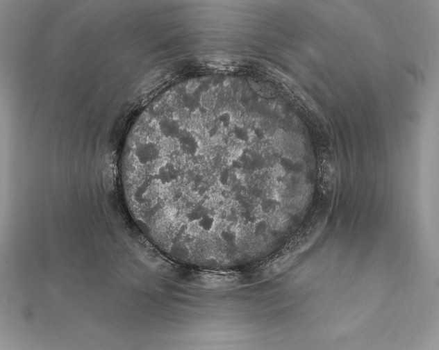 X0000112360707200909031910