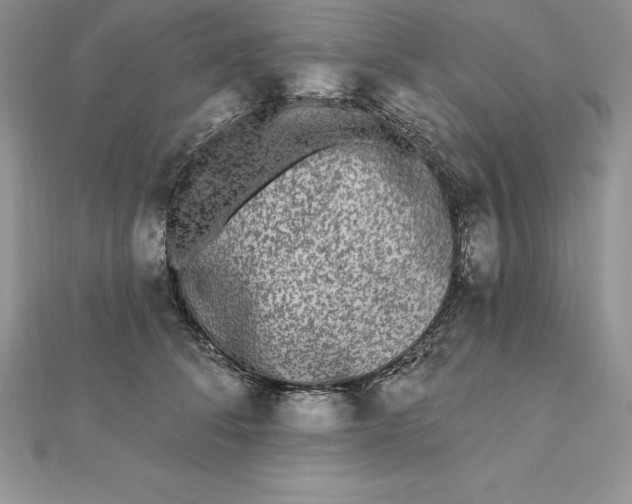 X0000112360708200909031910