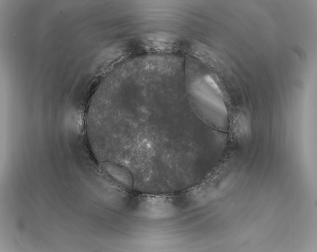 X0000112360709200909031910