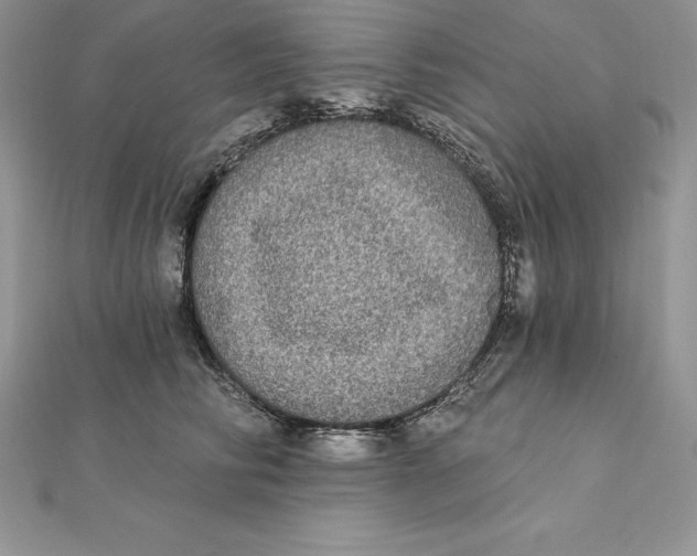 X0000112360710200909031910