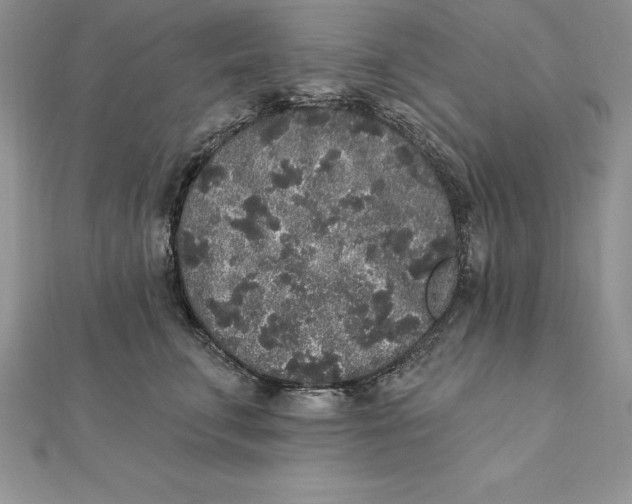 X0000112360711200909031910