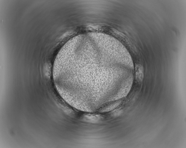 X0000112360712200909031910