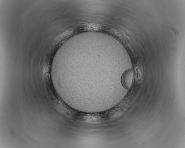 X0000112360714200909031910