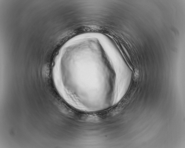 X0000112360715200909031910