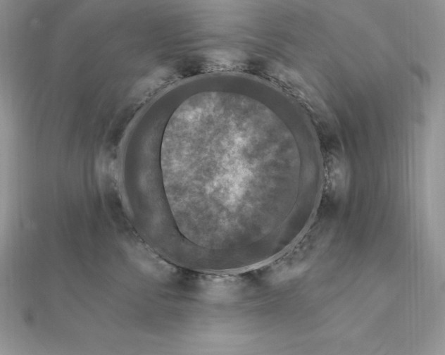 X0000112360716200909031910