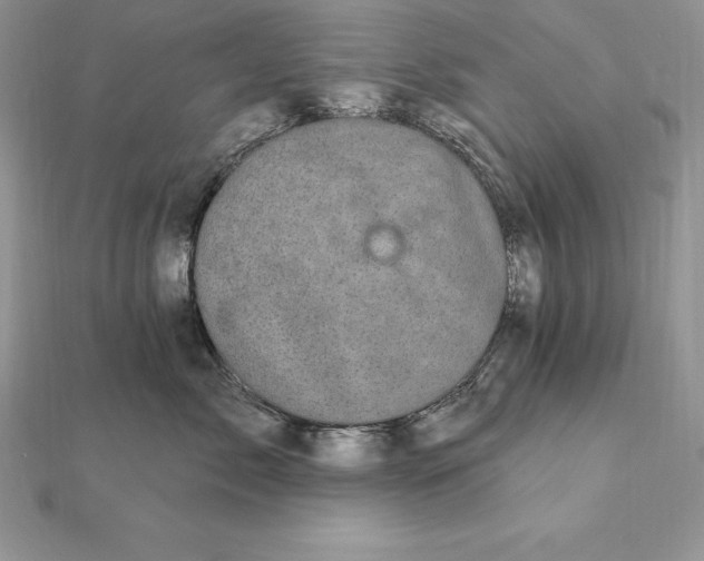 X0000112360717200909031910