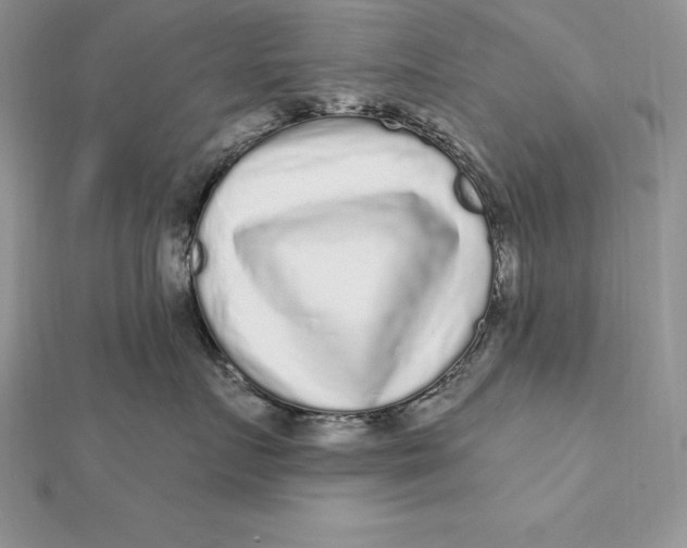 X0000112360719200909031910