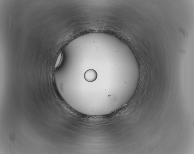 X0000112360720200909031910