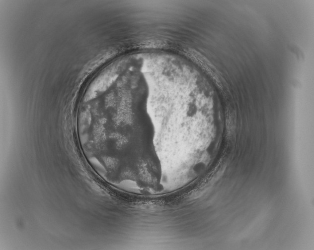 X0000112360721200909031909