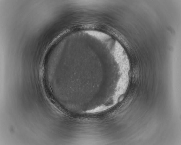 X0000112360722200909031909