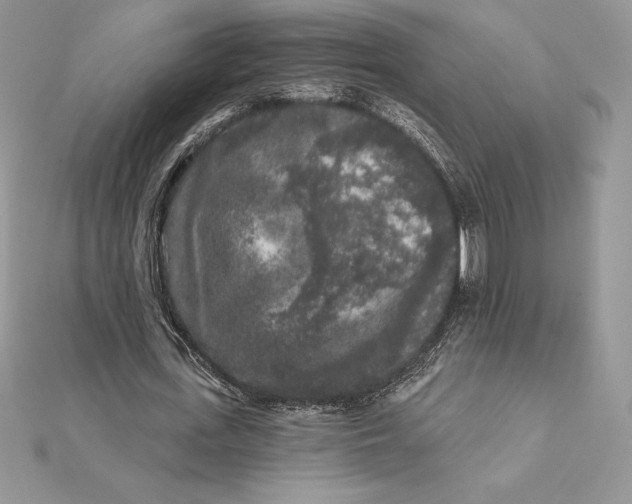 X0000112360723200909031909