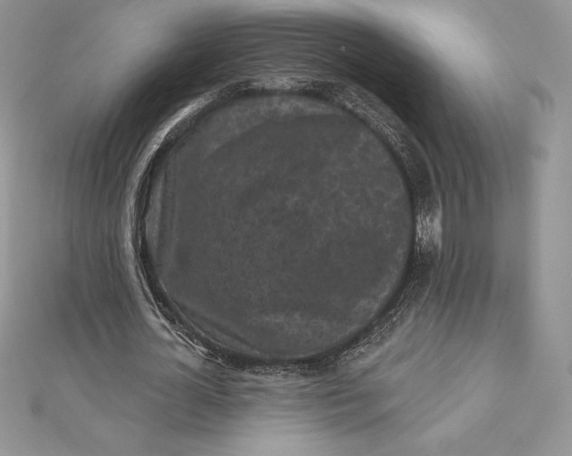 X0000112360724200909031909