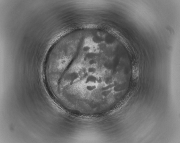 X0000112360725200909031909