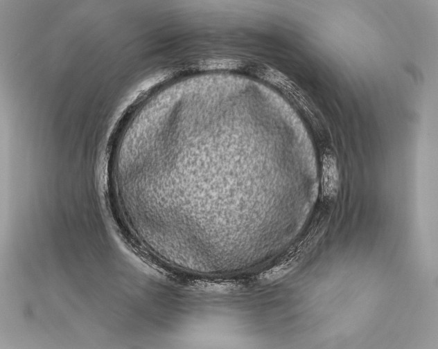 X0000112360726200909031909