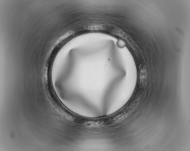 X0000112360727200909031909