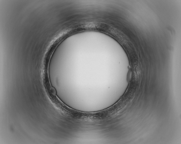 X0000112360728200909031909