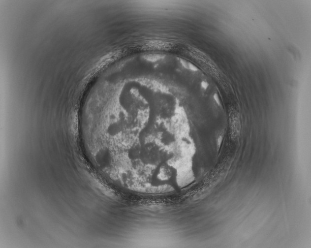 X0000112360729200909031909