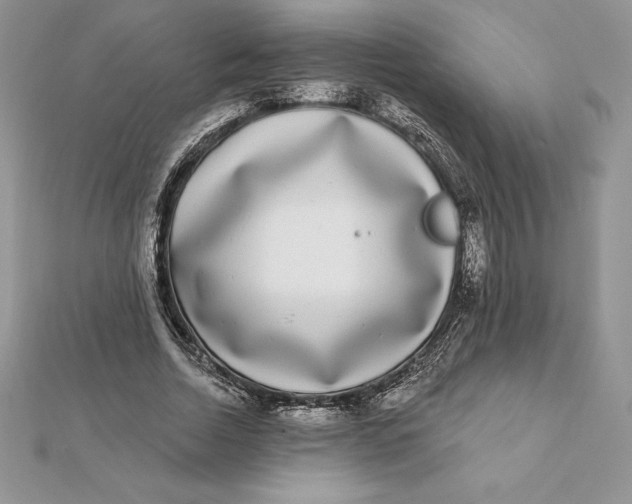 X0000112360730200909031909