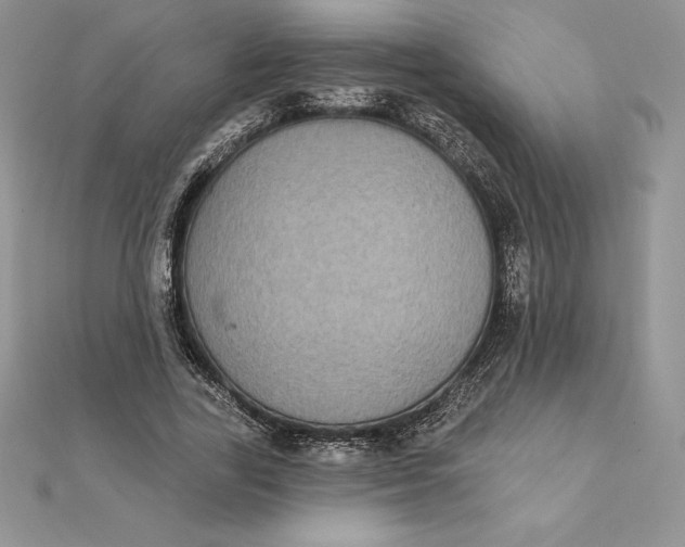 X0000112360731200909031909