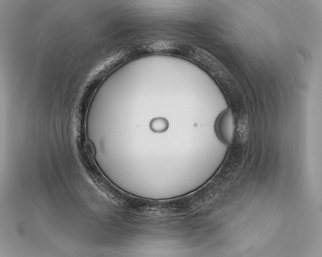 X0000112360732200909031909