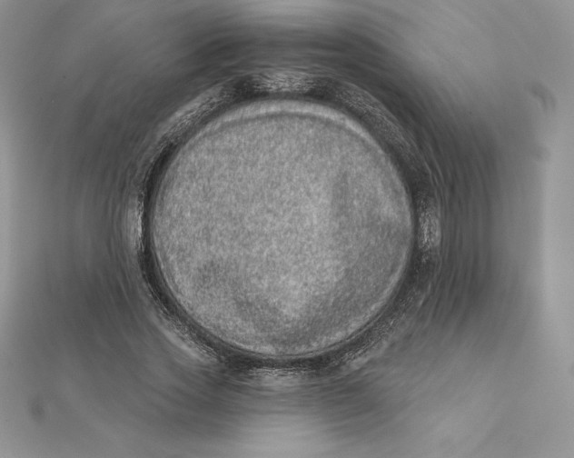 X0000112360733200909031909