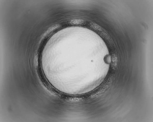 X0000112360734200909031909