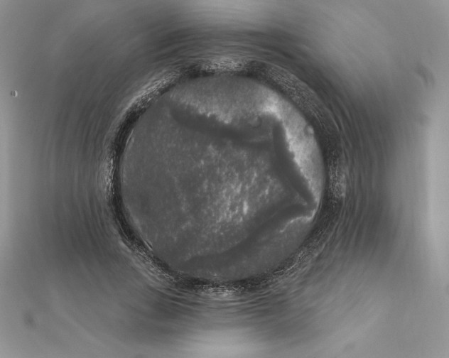 X0000112360735200909031909