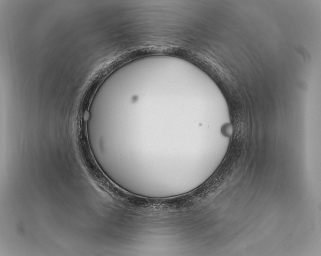 X0000112360736200909031909