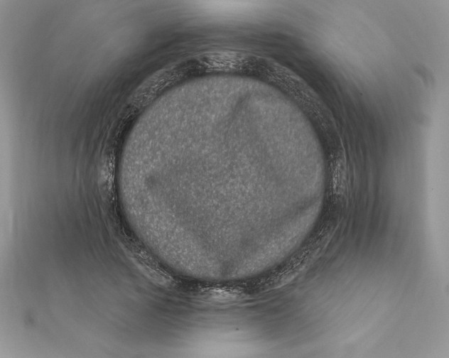 X0000112360737200909031909