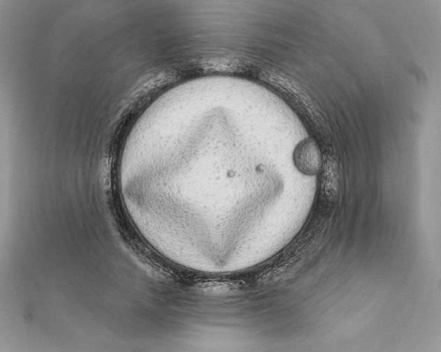 X0000112360738200909031909