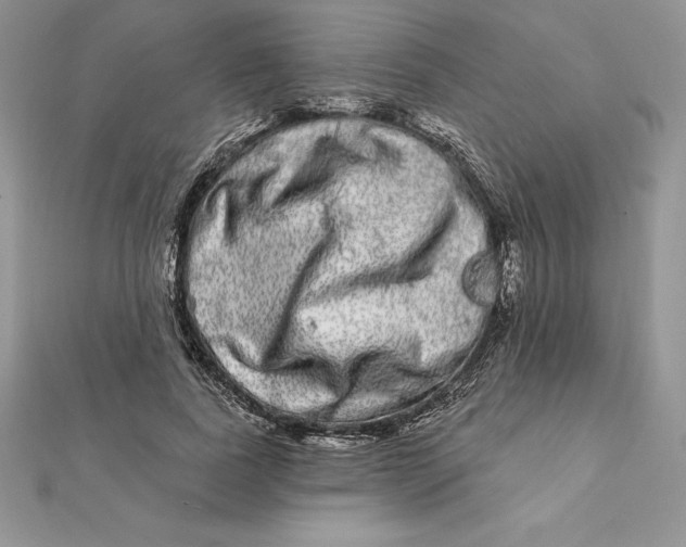 X0000112360739200909031909