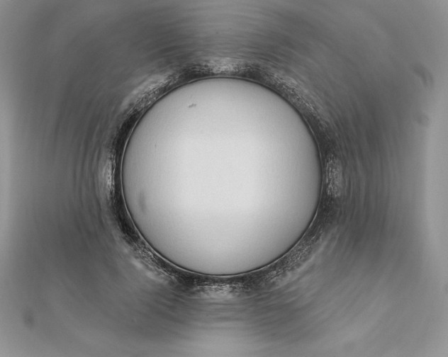 X0000112360740200909031909