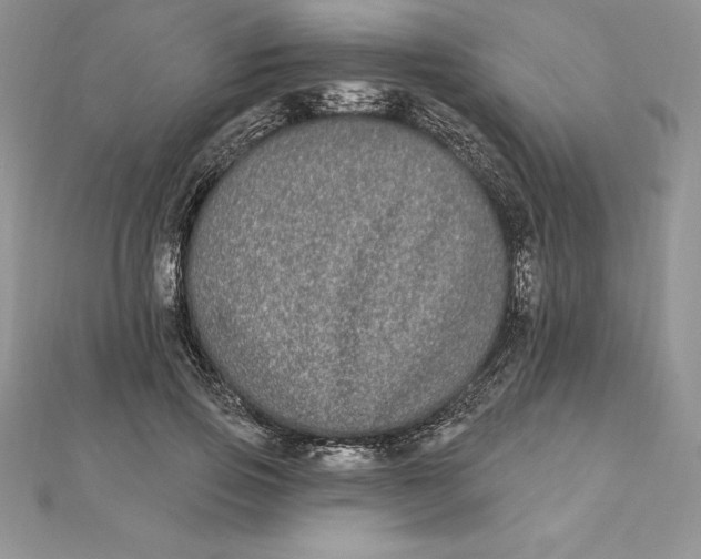 X0000112360741200909031909