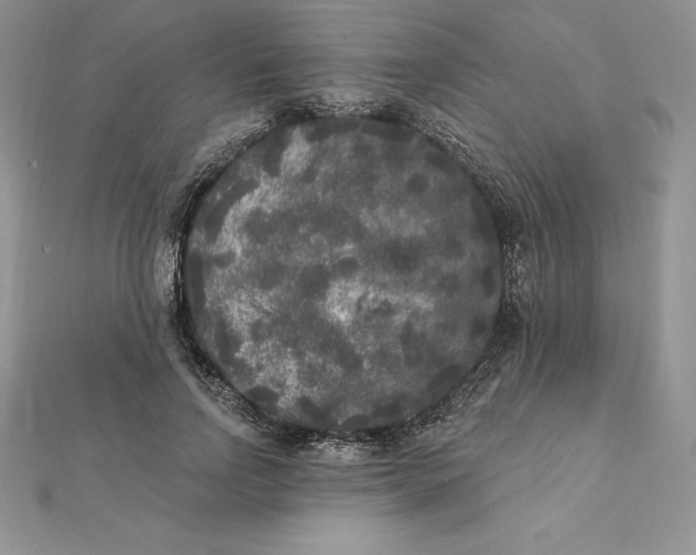 X0000112360742200909031909