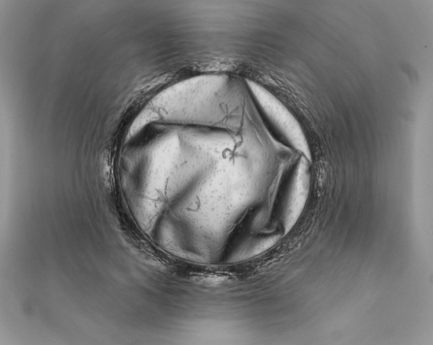 X0000112360743200909031909