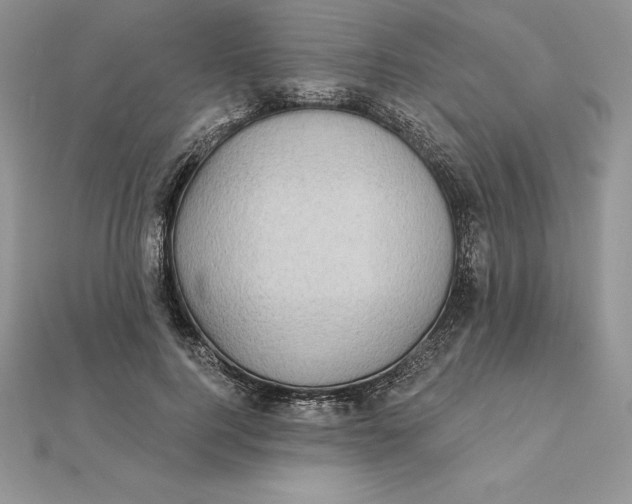 X0000112360744200909031909