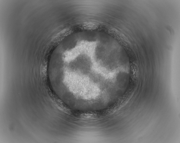 X0000112360745200909031909