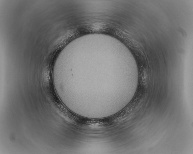 X0000112360746200909031909