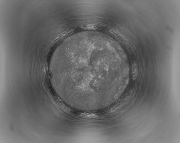 X0000112360747200909031909