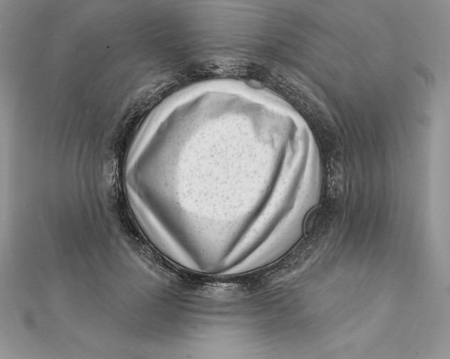 X0000112360748200909031909