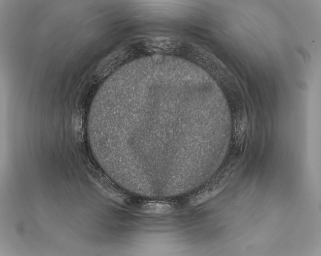 X0000112360749200909031909