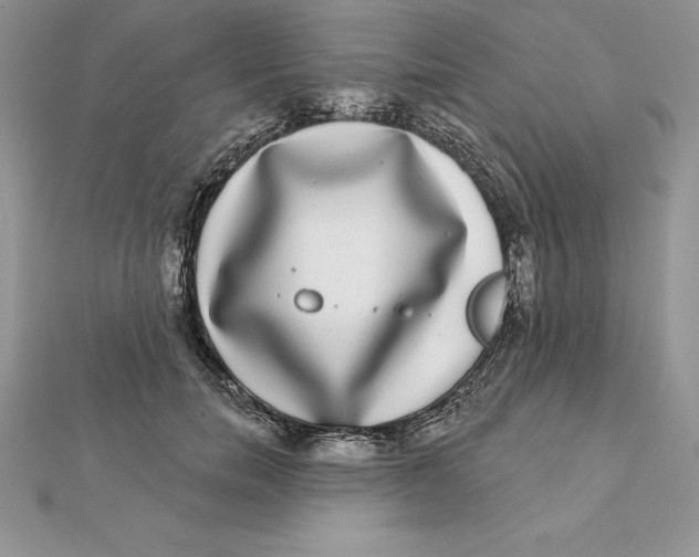 X0000112360750200909031909