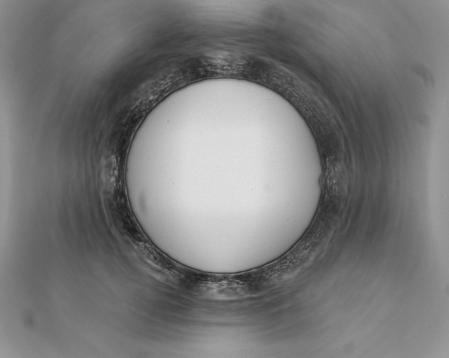 X0000112360752200909031909