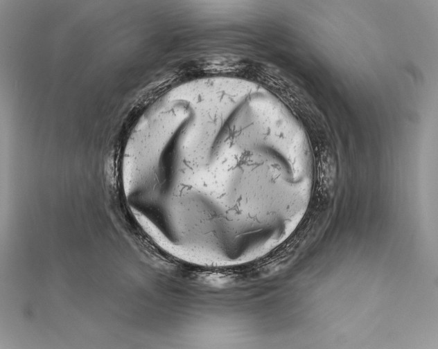 X0000112360755200909031909