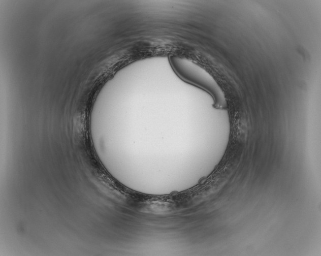 X0000112360756200909031909