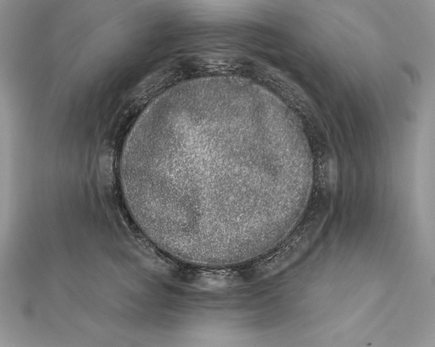 X0000112360757200909031909